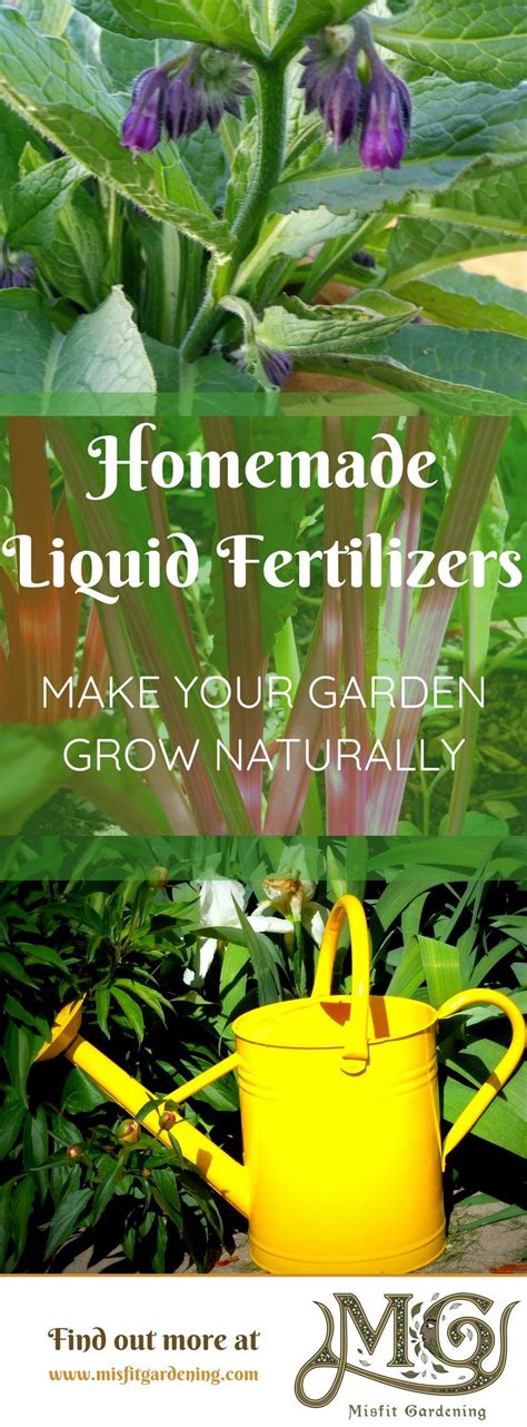 How and when to fertilize. Learn the Secret to Getting Better Harvests with Homemade Natural Liquid Fertilizer - Misfit ...