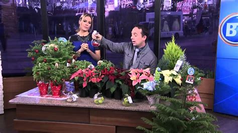 Check spelling or type a new query. Frankie Flowers: Holiday plants - YouTube
