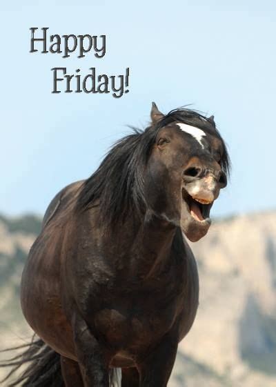 Happy Friday Horse