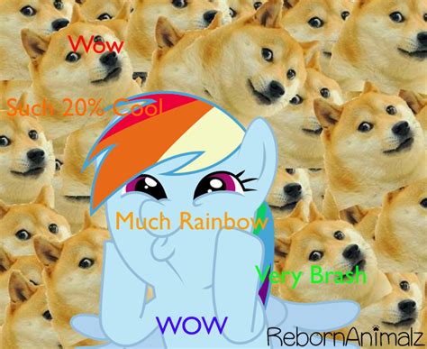 Rainbow Dash Doge By Rebornanimalz On Deviantart