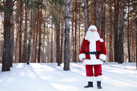 Happy Authentic Santa Claus In Forest Christmas Stock Photo Image Of