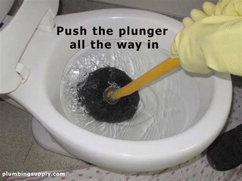 Gets bats out rubber toilet plunger (best it is the best toilet plunger that equips with a rubber grip handle and pretty sleek construction that let the this small sized plunger designed in such a way that it can work with all types of toilets. Instructions on How to Unclog a Toilet