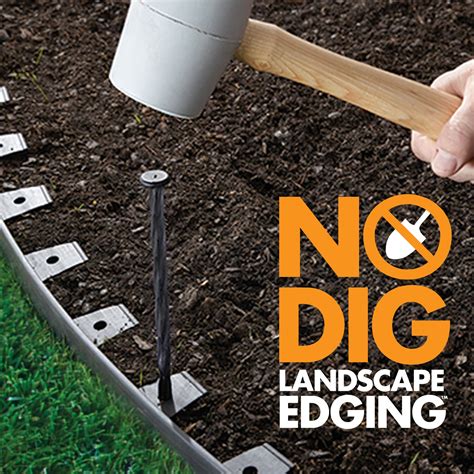 Plastic No Dig Landscape Edging Vigoro 60 Ft No Dig Landscape Edging