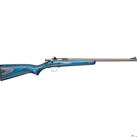 Crickett Crickett Rifle G2 22lr Ss Blue Laminate