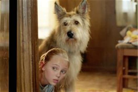 Is winn dixie cheaper than publix? texte zum film
