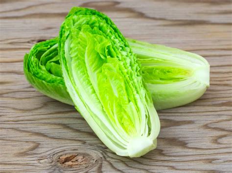 Wikipedia article about romaine lettuce on wikipedia. CDC cautions the public about E. coli outbreak linked to ...