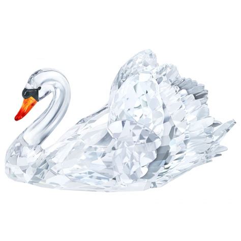 Swarovski Crystal Graceful Swan Ts From Dipples Uk