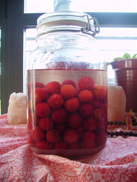 Pour the strawberry mixture into the prepared baking dish. Licor de madroño, liqueur from Strawberry tree fruits ...