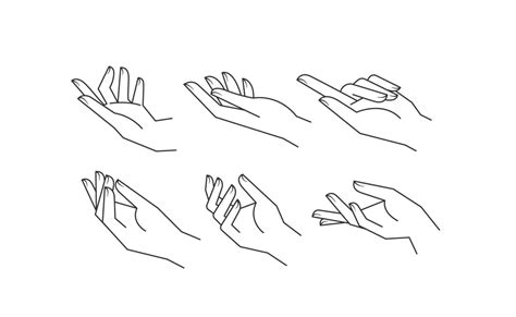 Aesthetic Hands Vector Linear Illustrations Stylized Elegant Hand