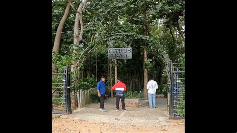 Citrus Trail Farm & Kitchen: A Culinary Adventure in Zestful Paradise