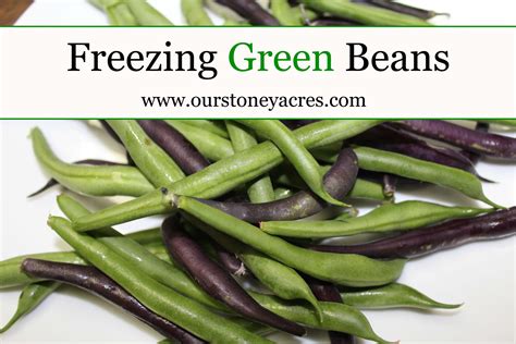 No blanching, no cutting, no chopping, no water bath, no mess and saves a lot of time. Freezing Green Beans - Stoney Acres