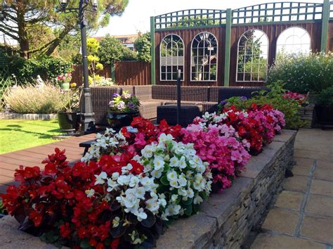 Beautiful Begonias Begonia Garden Decor Sidewalk Structures