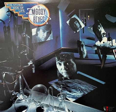 The Moody Blues 15 Lp Vinyl Collection 1967 1986 Photo 4248161 Us