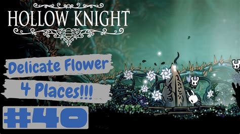 Hollow Knight Delicate Flower Playthrough Episode 40 Youtube
