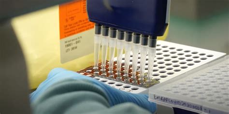 If you've already booked a vaccination appointment through a gp or local nhs service, you do not. Unique biorepository stores samples from Alberta COVID-19 ...