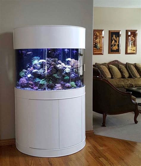 Beautiful Half Cylinder Fish Tank Aquarium Cool Fish Tanks Fish Tank