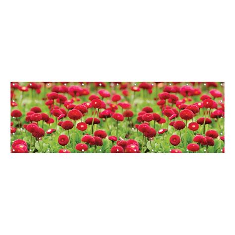 Czerwone Kwiaty Osłona Balkonowa Tarasowa