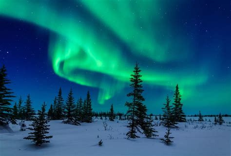 🇨🇦 Vivid Northern Lights Churchill Manitoba By David Marx
