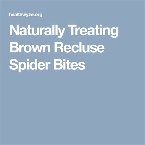 Spider Bite Treatment Homeopathy 99tips