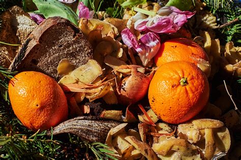 The Us Has A Food Waste Problem And Its Getting Worse Bloomberg