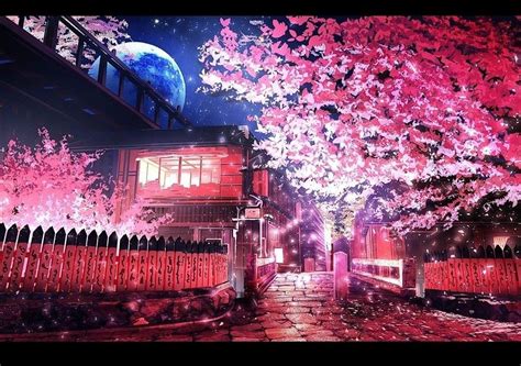 15 Cherry Blossom Night Anime Wallpaper Tachi Wallpaper
