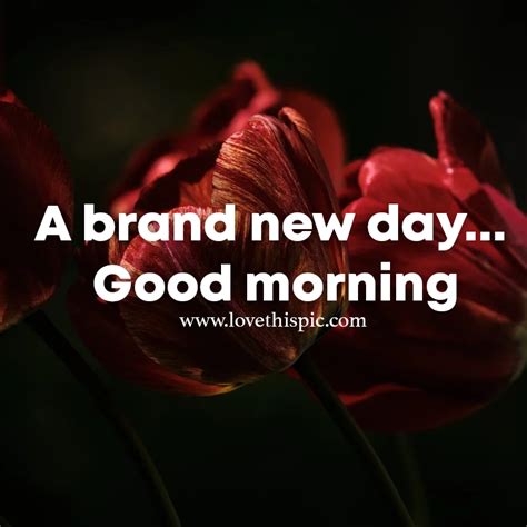 A Brand New Day Good Morning Pictures Photos And Images For