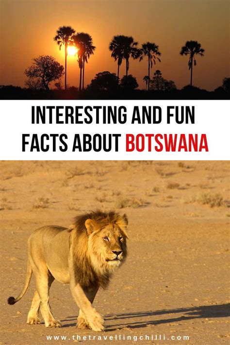 25 Interesting Facts About Botswana The Travelling Chilli Africa Travel Guide Botswana