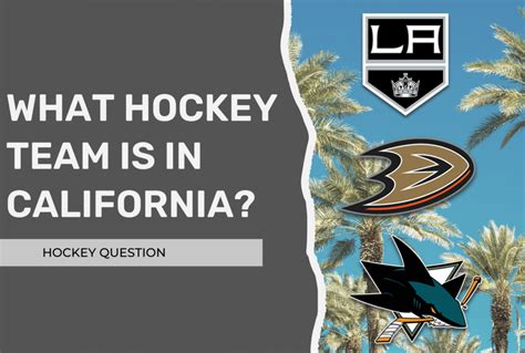 What Hockey Team Is In California Plus 9 Other California Hockey