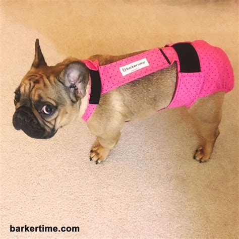 We've listed 200 of the funniest, cutest so you're getting a french bulldog but you need the perfect name, we totally get it. The best option so far, especially for this funny little ...