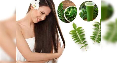 Hair serum is a product that promotes new hair and stop hair loss, there are lots of brands availalbe. All the good ways in which you can use curry leaves for ...