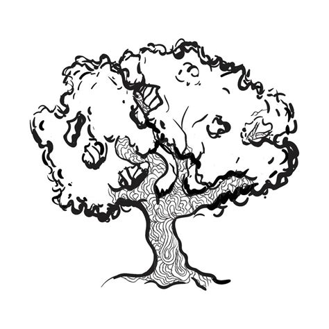 Eucalyptus Tree Drawing 2165346 Vector Art at Vecteezy