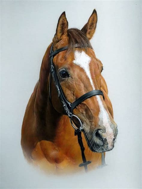 Commission A Horse Portrait Horse Portraits By Pippa Elton