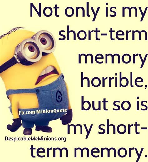 Funny Quotes About Memory Quotesgram