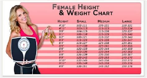 The average height for women in the u.s. Ideal Table: How Much Should I Weigh for my Height? - Feel ...