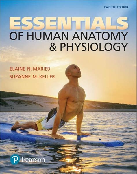 Essentials Of Human Anatomy And Physiology 12th Edition Pdf Ebook