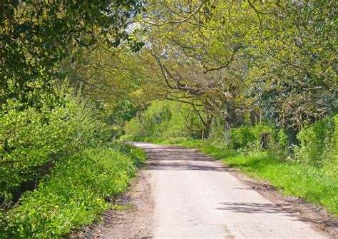 Sway Lakes New Forest Area Information Map Walks And More