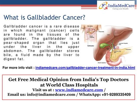 Ppt Gallbladder Cancer Treatment In India Powerpoint Presentation