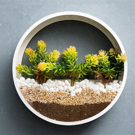 Buy Wall Mounted Circle Metal Plant Terrarium Planter Holder For Wall