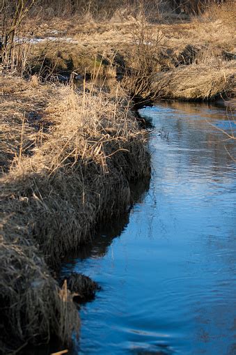 Reflection Of A Blue Sky In A Creek With Thawed Water In The Spring