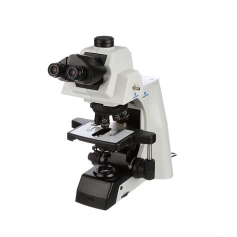 EXC By Series ACCU SCOPE Microscopes
