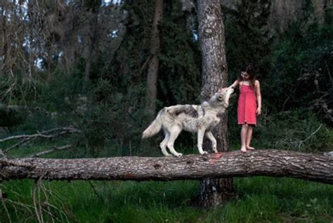 Photographer Captures Amazing Interaction Between Wolves And Women 16