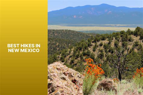 Best Hikes In New Mexico