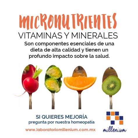 Online 2022 Que Son Los Micronutrientes Y Macronutrientes Gratuit
