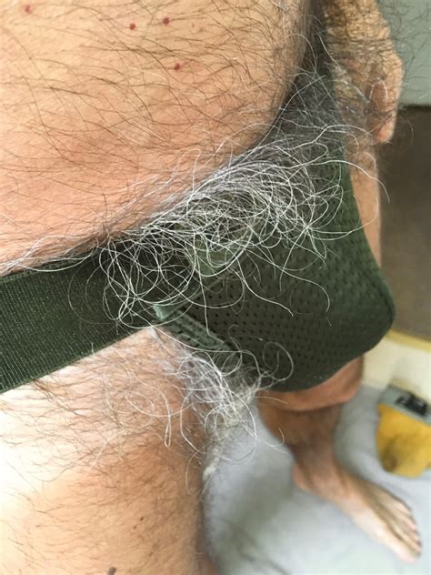 Free Pubic Hair And Unshaved Bush Very Hairy Porn Photo Galleries My