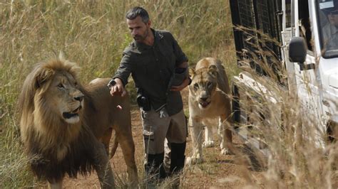 Lion Whisperer Gets Up Close With Big Cats News Khaleej Times