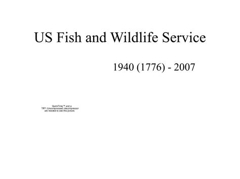 Ppt Us Fish And Wildlife Service Powerpoint Presentation Free