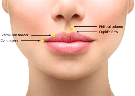 Upper Lip Lift Corner Lift Dr Amit Agarwal Best Surgeon For Male Breast Surgery