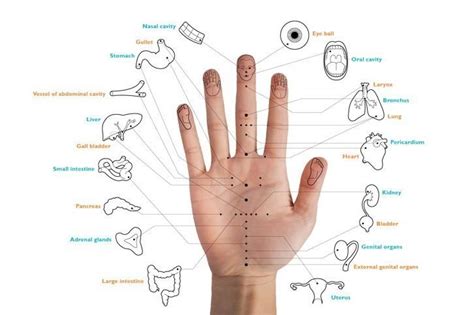 Die anwendung, wirkung und massage von akupressurpunkten ist geeignet gegen die akupressur ist eine druckpunktmassage, eine heilmethode ohne nebenwirkungen. Hände Zeichen | Akupunktur, Gesundheit und wellness ...