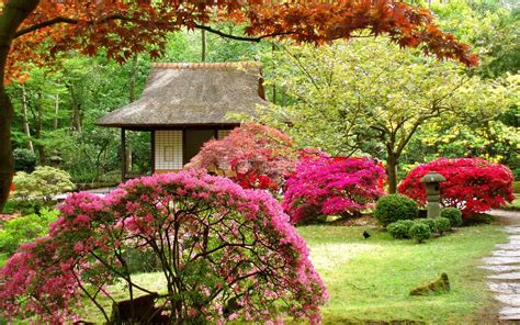 Japanese Tea Garden Wallpapers Top Free Japanese Tea Garden