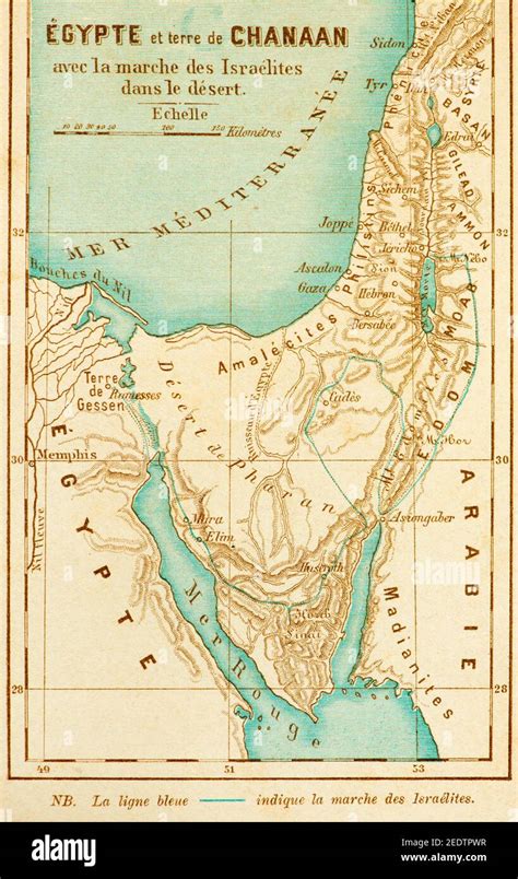 Historic Map Of Egypt And The Sinai Peninsula With The March Of The